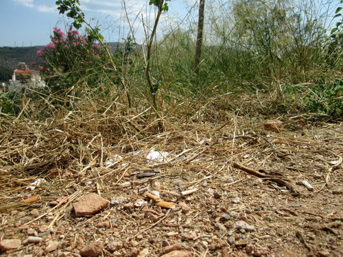 katharismos oikopedon