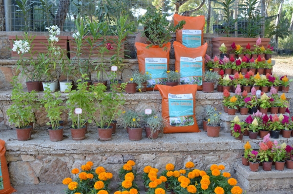 Συνεχίζεται στη Δ.Ε. Βάρης η διανομή του εδαφοβελτιωτικού «Vita Green»   