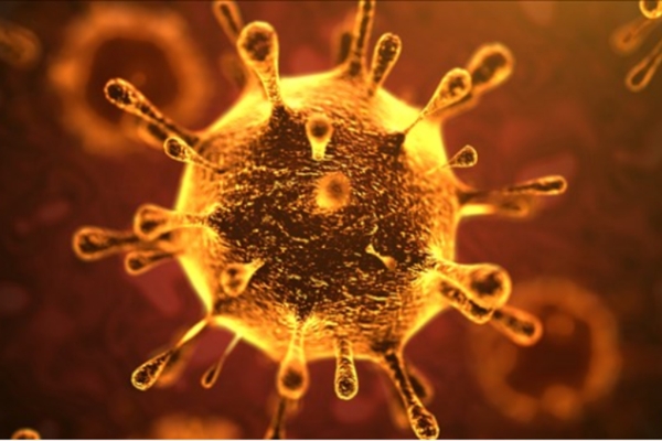 &Theta;&epsilon;&tau;&iota;&kappa;ή &beta;&rho;έ&theta;&eta;&kappa;&epsilon; &epsilon;&kappa;&pi;&alpha;&iota;&delta;&epsilon;&upsilon;&tau;&iota;&kappa;ό&sigmaf; &sigma;&chi;&omicron;&lambda;&epsilon;ί&omicron;&upsilon; &tau;&omicron;&upsilon; &Delta;ή&mu;&omicron;&upsilon; &sigma;&tau;&omicron;&nu; &Kappa;&omicron;&rho;&omega;&nu;&omicron;ϊό - &Alpha;&nu;&alpha;&mu;έ&nu;&omicron;&nu;&tau;&alpha;&iota; &epsilon;&nu;&tau;ό&sigmaf; &tau;&eta;&sigmaf; &eta;&mu;έ&rho;&alpha;&sigmaf; &omicron;&delta;&eta;&gamma;ί&epsilon;&sigmaf; &alpha;&pi;ό &tau;&omicron; &Epsilon;&Omicron;&Delta;&Upsilon;