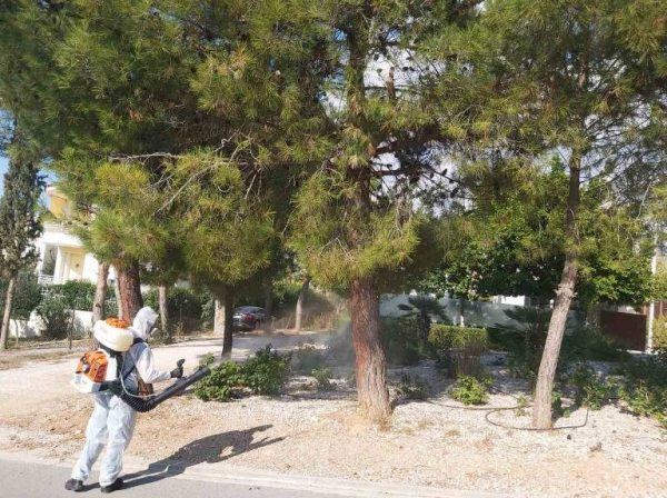 Δράση καταπολέμησης της κάμπιας σε κοινόχρηστους χώρους του Δήμου Βάρης Βούλας Βουλιαγμένης