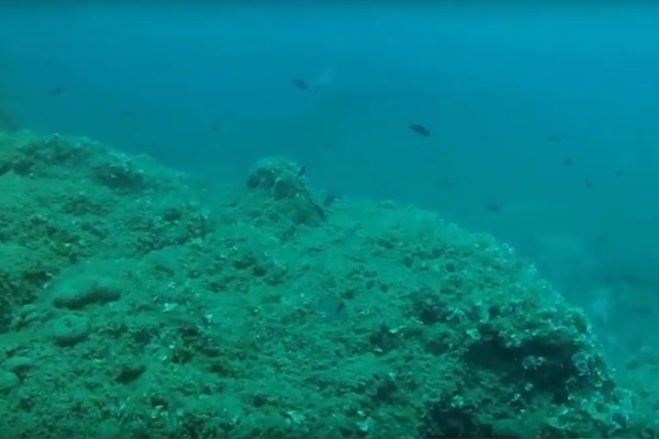 &Kappa;&alpha;&theta;&alpha;&rho;ά &tau;&alpha; &nu;&epsilon;&rho;ά &tau;&omega;&nu; &alpha;&kappa;&tau;ώ&nu; &tau;&omicron;&upsilon; &Delta;ή&mu;&omicron;&upsilon; &Beta;ά&rho;&eta;&sigmaf; &Beta;&omicron;ύ&lambda;&alpha;&sigmaf; &Beta;&omicron;&upsilon;&lambda;&iota;&alpha;&gamma;&mu;έ&nu;&eta;&sigmaf; &sigma;ύ&mu;&phi;&omega;&nu;&alpha; &mu;&epsilon; &alpha;&nu;&alpha;&lambda;ύ&sigma;&epsilon;&iota;&sigmaf; &tau;&omicron;&upsilon; &Epsilon;&Lambda;.&Kappa;&Epsilon;.&Theta;.&Epsilon;.