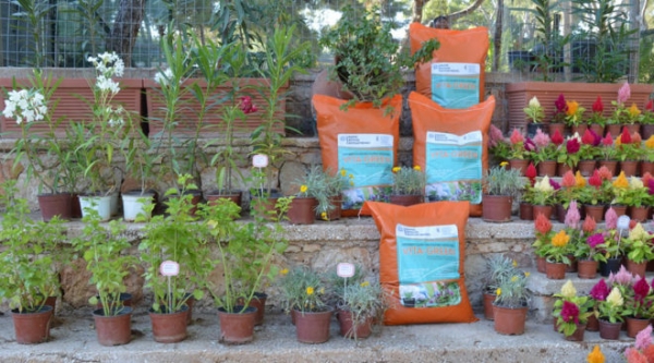 &Omicron; &Delta;ή&mu;&omicron;&sigmaf; &Beta;ά&rho;&eta;&sigmaf; &Beta;&omicron;ύ&lambda;&alpha;&sigmaf;  &Beta;&omicron;&upsilon;&lambda;&iota;&alpha;&gamma;&mu;έ&nu;&eta;&sigmaf; &delta;&iota;έ&theta;&epsilon;&sigma;&epsilon; &mu;&epsilon; &epsilon;&pi;&iota;&tau;&upsilon;&chi;ί&alpha; &mu;έ&sigma;&omega; &alpha;&nu;&omicron;&iota;&chi;&tau;ή&sigmaf; &delta;&eta;&mu;&omicron;&pi;&rho;&alpha;&sigma;ί&alpha;&sigmaf; &tau;&omicron; &epsilon;&delta;&alpha;&phi;&omicron;&beta;&epsilon;&lambda;&tau;&iota;&omega;&tau;&iota;&kappa;ό VITA GREEN &kappa;&alpha;&iota; VITA GREEN PLUS