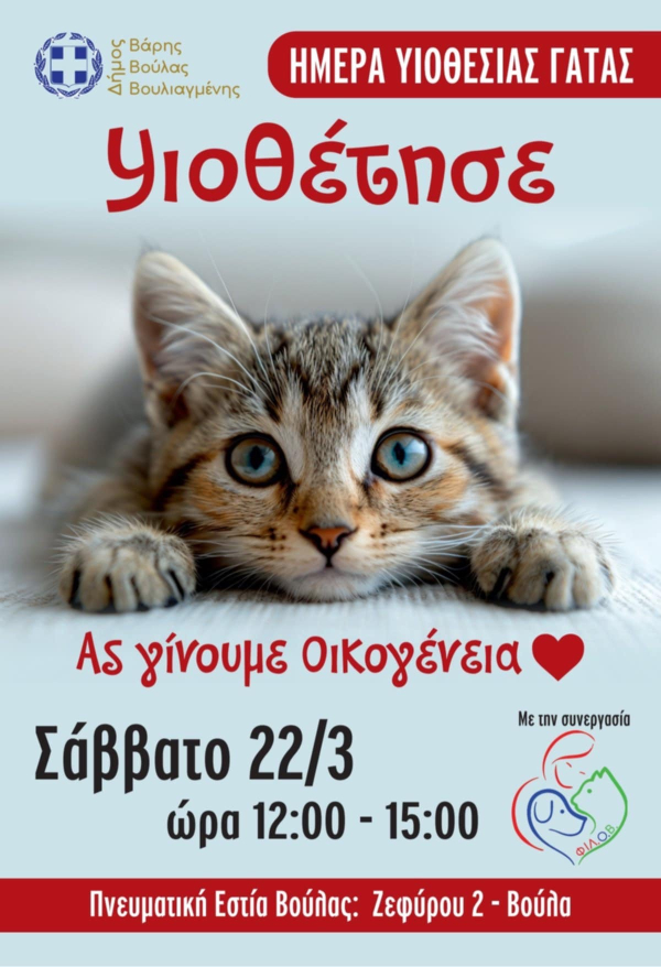 &Eta;&mu;έ&rho;&alpha; &upsilon;&iota;&omicron;&theta;&epsilon;&sigma;ί&alpha;&sigmaf; &gamma;ά&tau;&alpha;&sigmaf; &sigma;&tau;&omicron; &Delta;ή&mu;&omicron; &Beta;ά&rho;&eta;&sigmaf; &Beta;&omicron;ύ&lambda;&alpha;&sigmaf; &Beta;&omicron;&upsilon;&lambda;&iota;&alpha;&gamma;&mu;έ&nu;&eta;&sigmaf;