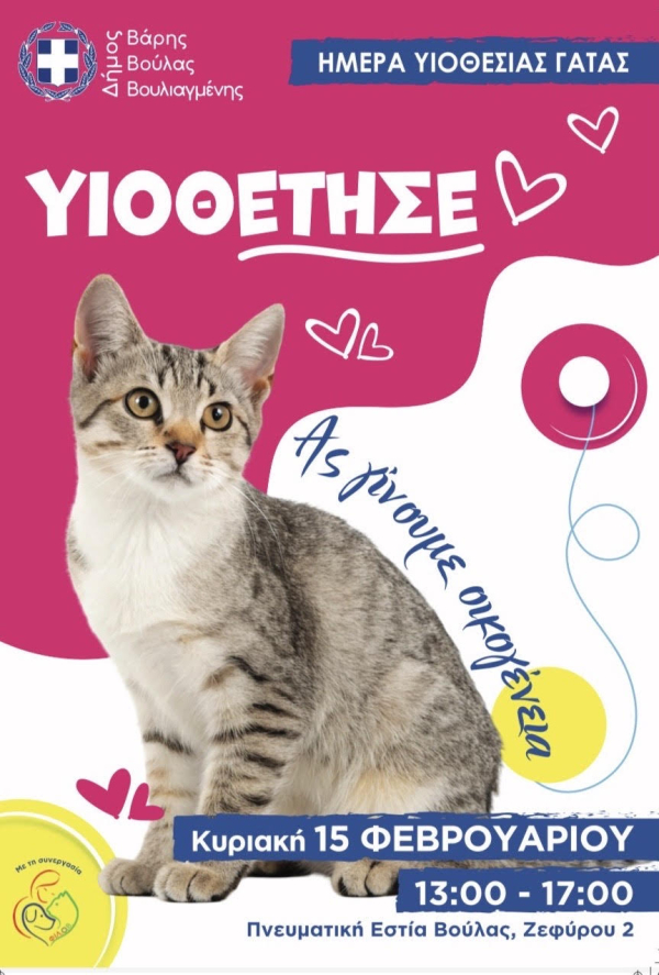 &Eta;&mu;έ&rho;&alpha; &Upsilon;&iota;&omicron;&theta;&epsilon;&sigma;ί&alpha;&sigmaf; &Gamma;ά&tau;&alpha;&sigmaf; &alpha;&pi;ό &tau;&omicron;&nu; &Delta;ή&mu;&omicron; &Beta;ά&rho;&eta;&sigmaf; &Beta;&omicron;ύ&lambda;&alpha;&sigmaf; &Beta;&omicron;&upsilon;&lambda;&iota;&alpha;&gamma;&mu;έ&nu;&eta;&sigmaf;