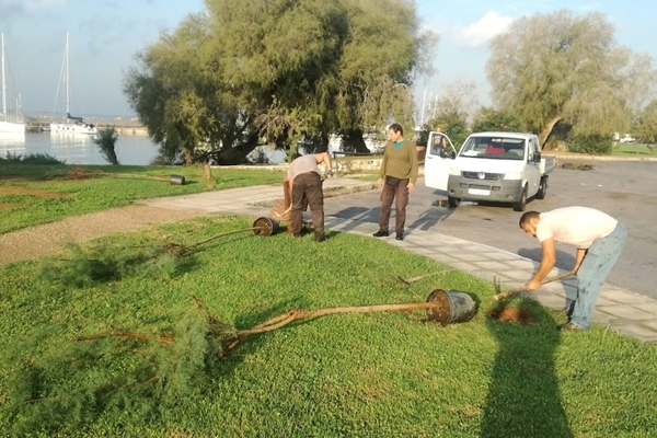 Ό&lambda;&eta; &eta; &alpha;&lambda;ή&theta;&epsilon;&iota;&alpha; &gamma;&iota;&alpha; &tau;&eta;&nu; &kappa;&omicron;&pi;ή &kappa;&alpha;&iota; &tau;&eta;&nu; &phi;ύ&tau;&epsilon;&upsilon;&sigma;&eta; &delta;έ&nu;&tau;&rho;&omega;&nu; &sigma;&tau;&omicron; &Delta;ή&mu;&omicron; &Beta;ά&rho;&eta;&sigmaf; &Beta;&omicron;ύ&lambda;&alpha;&sigmaf; &Beta;&omicron;&upsilon;&lambda;&iota;&alpha;&gamma;&mu;έ&nu;&eta;&sigmaf;