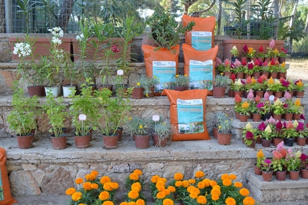 &Sigma;&upsilon;&nu;&epsilon;&chi;ί&zeta;&epsilon;&tau;&alpha;&iota; &eta; &delta;&iota;ά&theta;&epsilon;&sigma;&eta; &tau;&omicron;&upsilon; &pi;&iota;&sigma;&tau;&omicron;&pi;&omicron;&iota;&eta;&mu;έ&nu;&omicron;&upsilon; &epsilon;&delta;&alpha;&phi;&omicron;&beta;&epsilon;&lambda;&tau;&iota;&omega;&tau;&iota;&kappa;&omicron;ύ VITA-GREEN