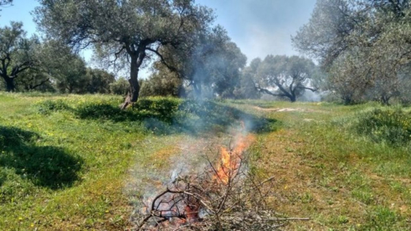 Μέτρα για την πρόληψη και αποφυγή εκδήλωσης πυρκαγιών